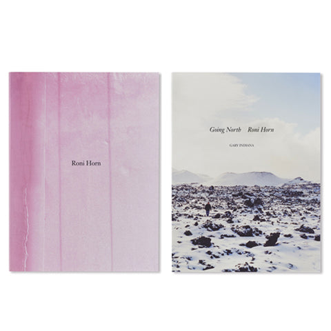 REVIEW:RONI HORN by Takiko Nishiki(Store Manager, POST)