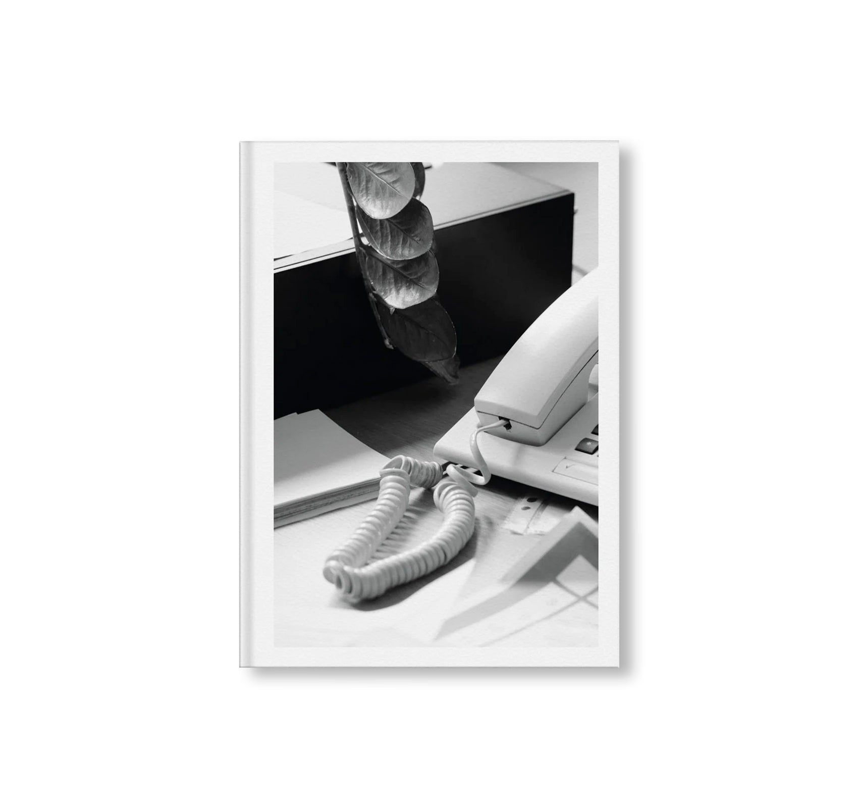 BÜROPFLANZE by Saskia Groneberg