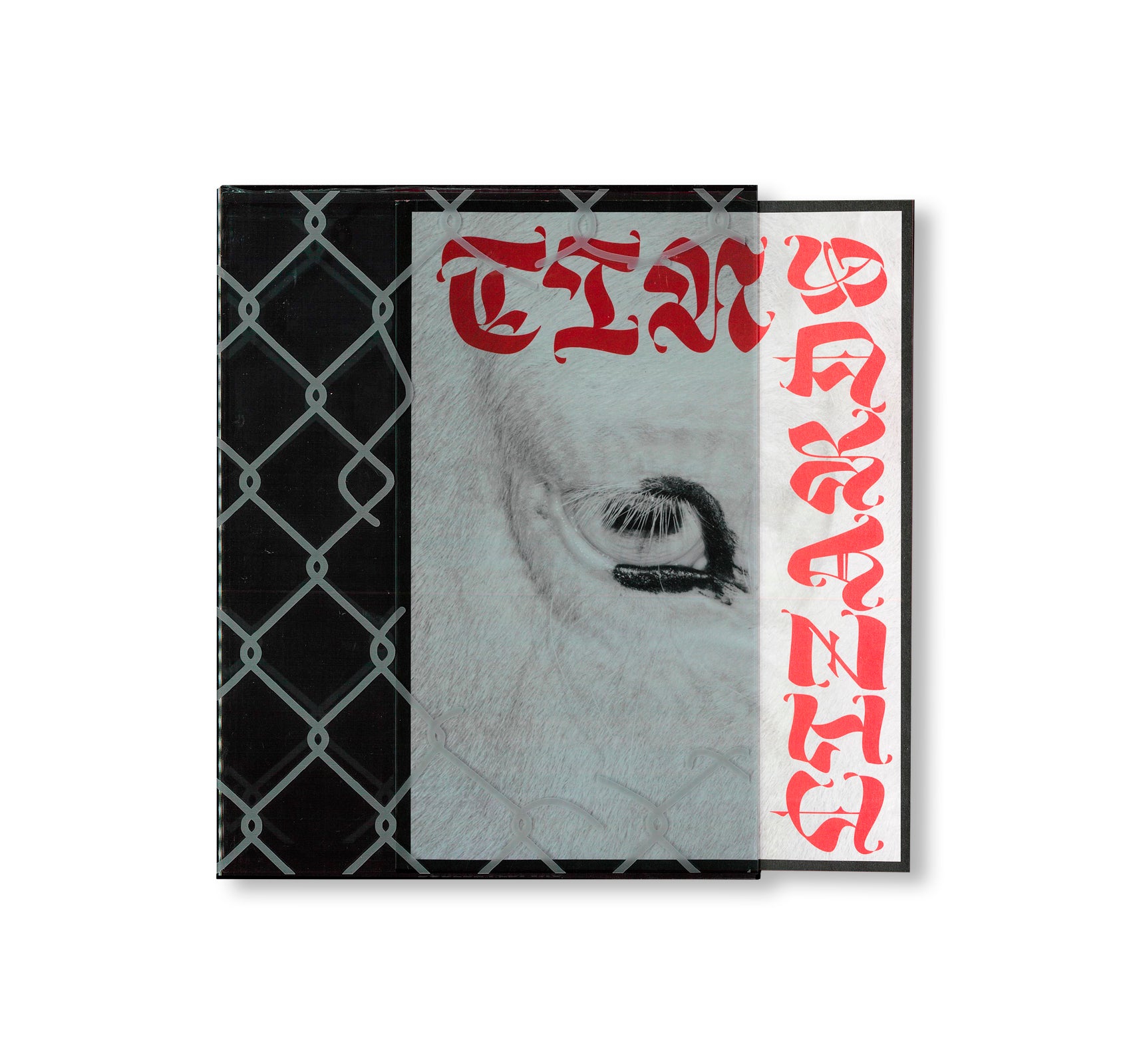 TIN LIZARDS by Robert LeBlanc