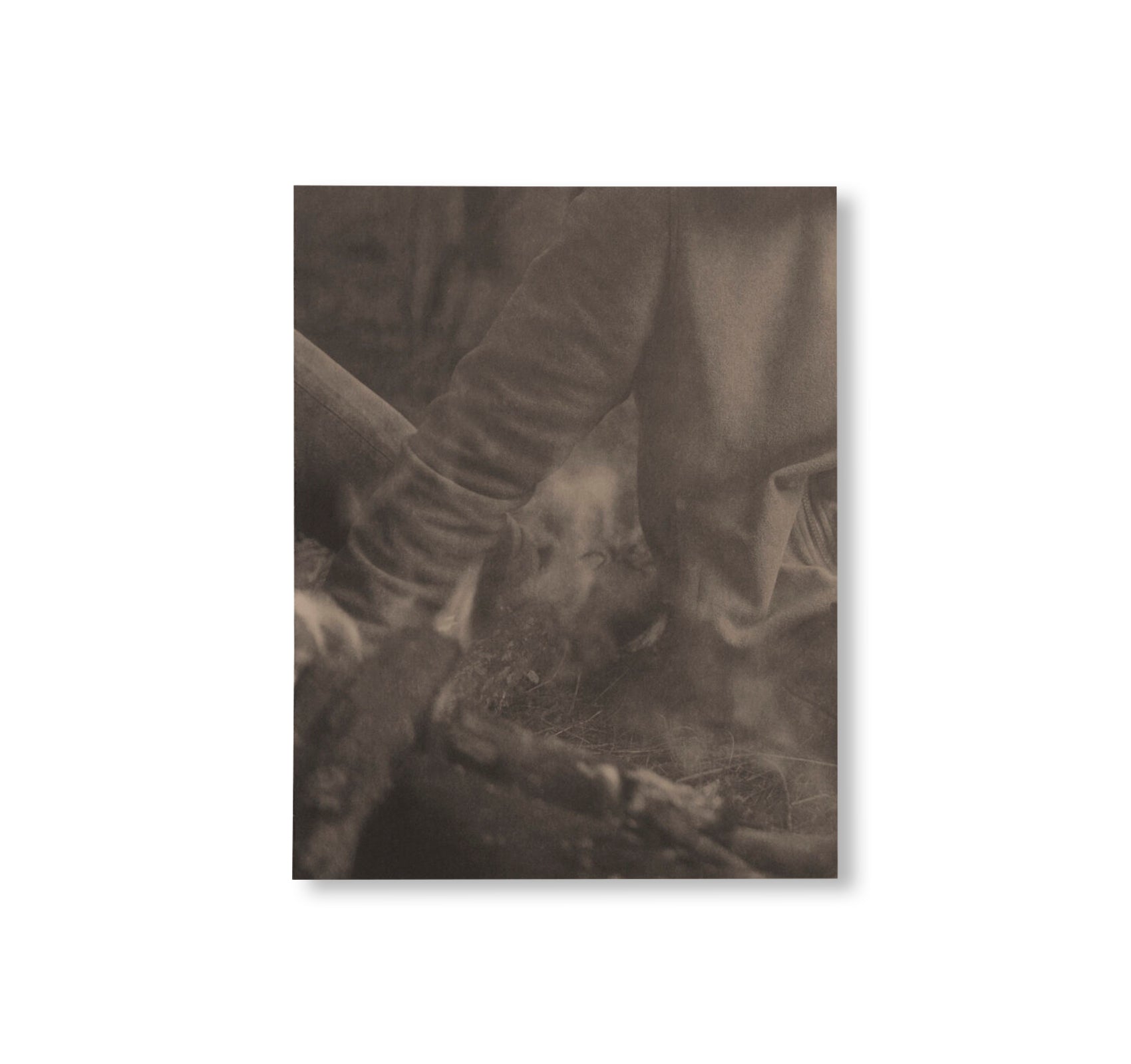 LA RONDE DES HIRONDELLES by Florence Cuschieri