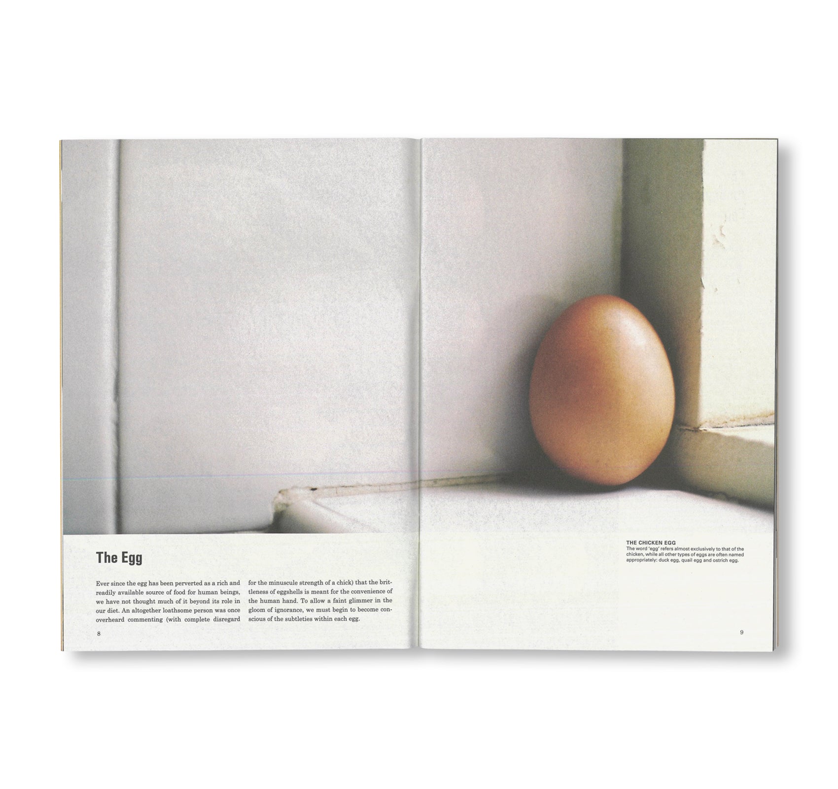 SCIENCE OF THE SECONDARY #07: EGG