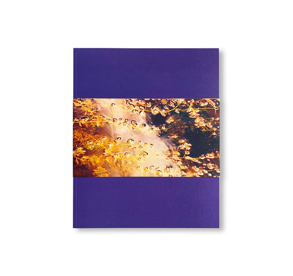 GATES TO THE GARDEN by Adam Kremer – twelvebooks