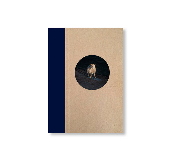 COMMITTED TO THE IMAGE 洋書 写真集 ONE PICTURE BOOK TWO #36: TAKEN BY THE TIDE by Maria Lax – twelvebooks