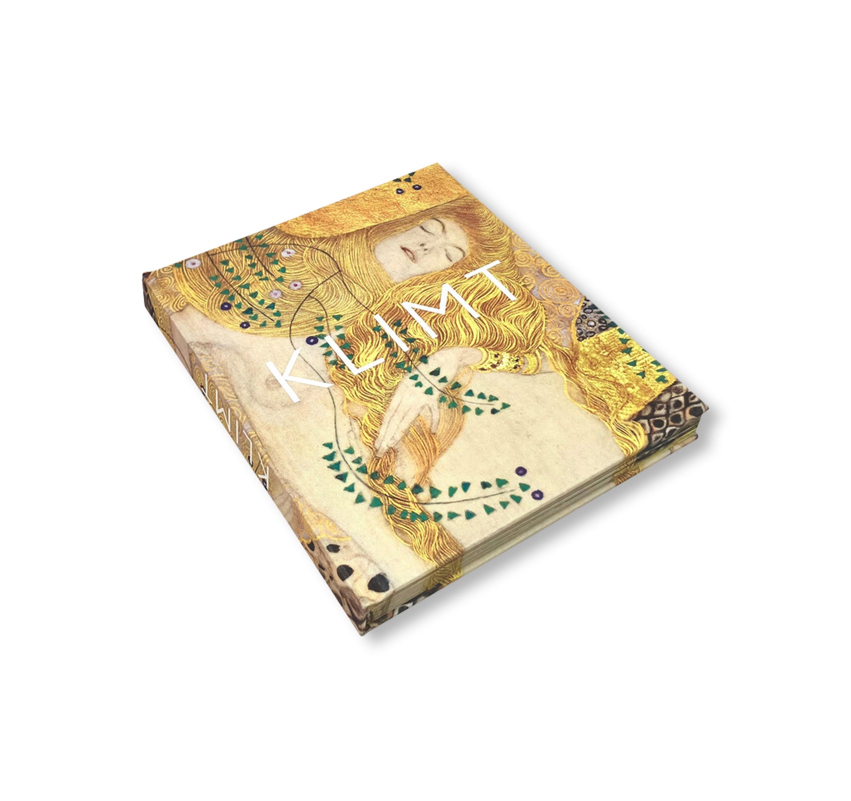 KLIMT - THE BIGGER PICTURE by Philippe Thiébaut