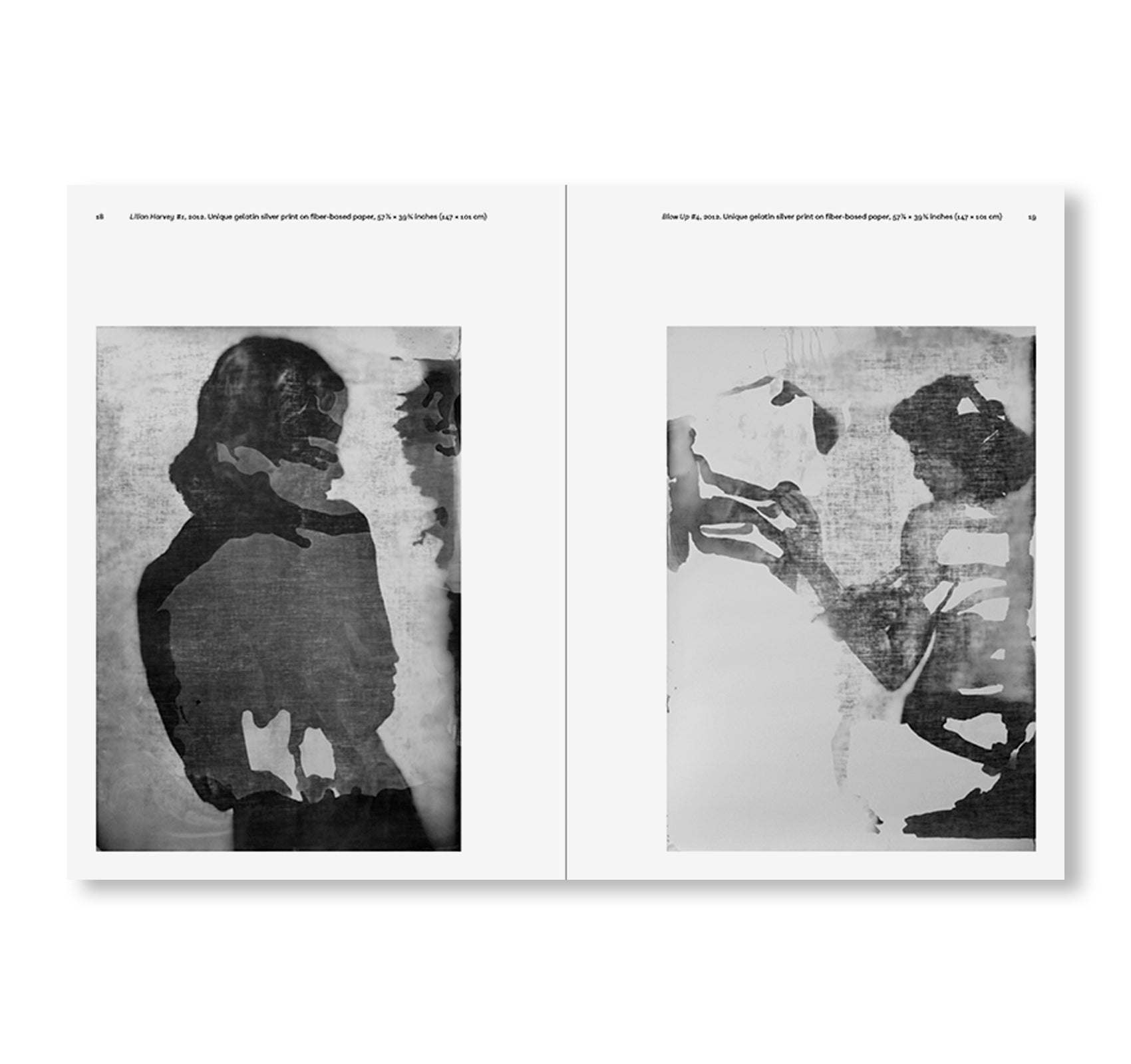 POEMS OF OUR CLIMATE by Matt Saunders