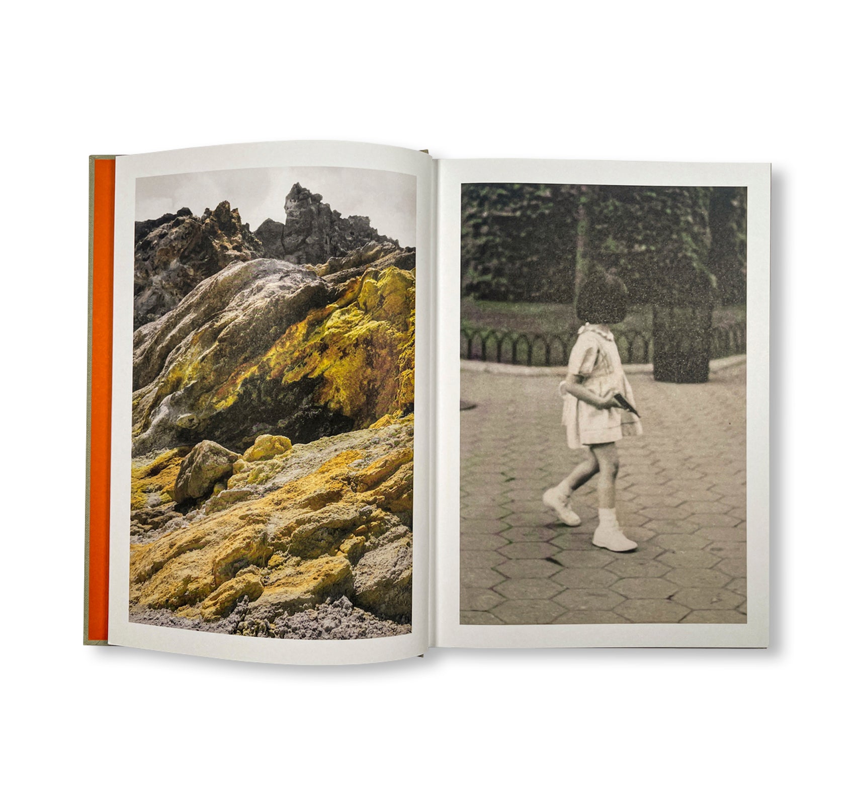 THE LOTTERY by Melissa Catanese