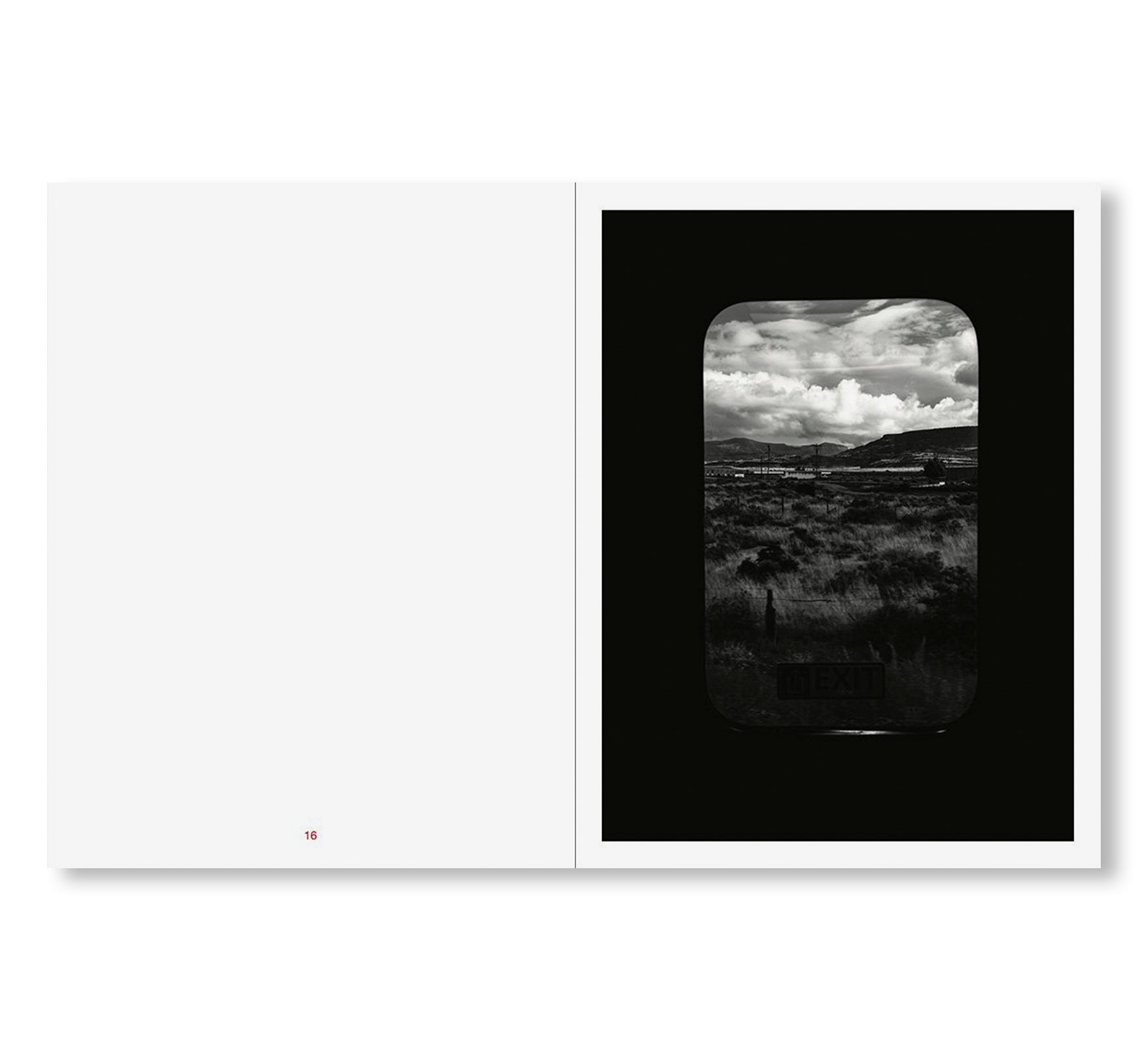 TIN LIZARDS by Robert LeBlanc