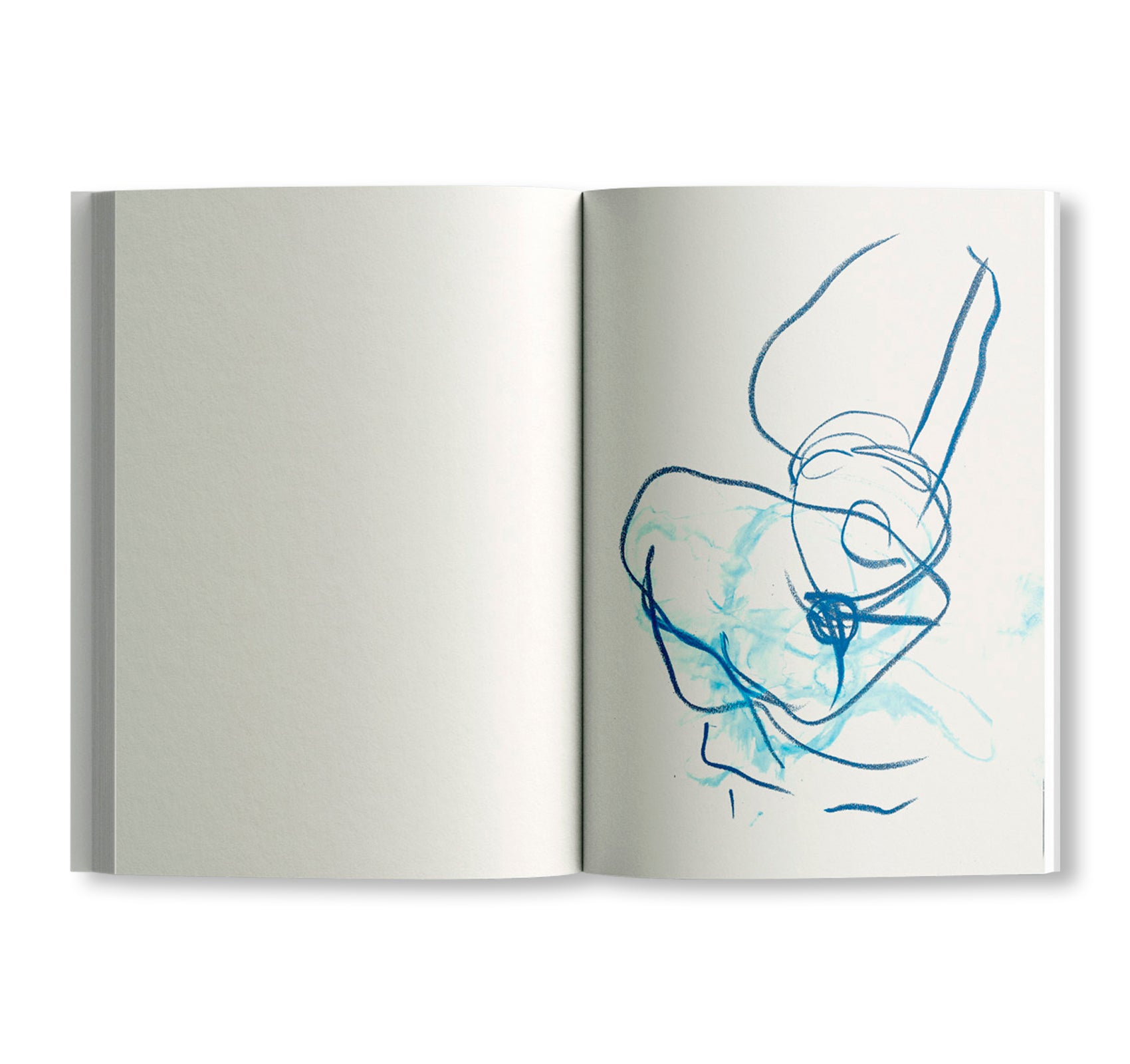 NOT QUITE GOOD ENOUGH TO BE ON TV HARMONIES by Joanne Robertson