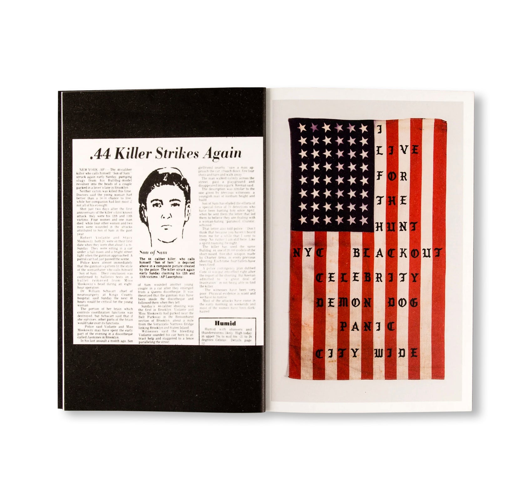 29 FLAGS by Cali Thornhill DeWitt