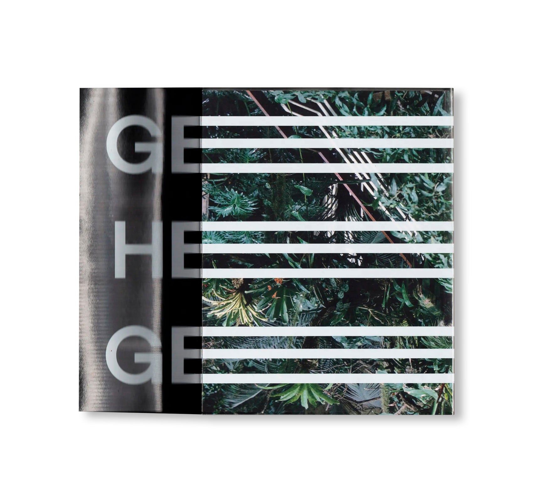 GEHEGE by Sara Arzu Hardegger, Vanja Ivana Jelić