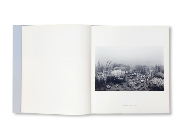 DIORAMAS by Hiroshi Sugimoto [FRENCH EDITION] – twelvebooks