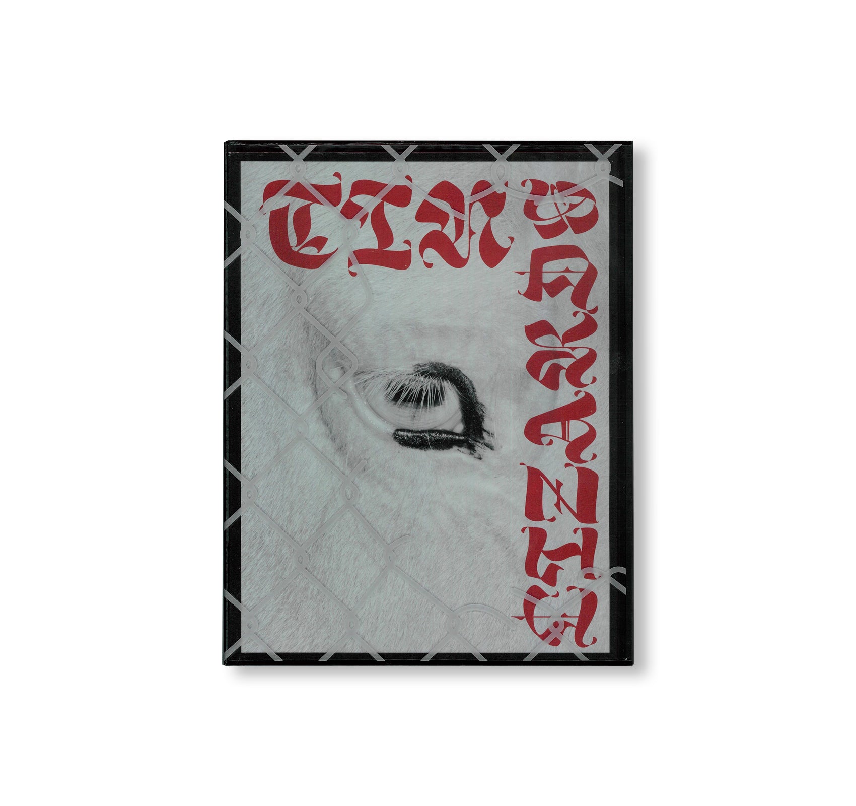 TIN LIZARDS by Robert LeBlanc