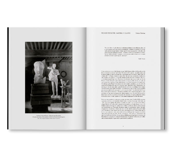 洋書 PICASSO by PICASSO 830904fba19fa40bcdf72ebd0c9ba2