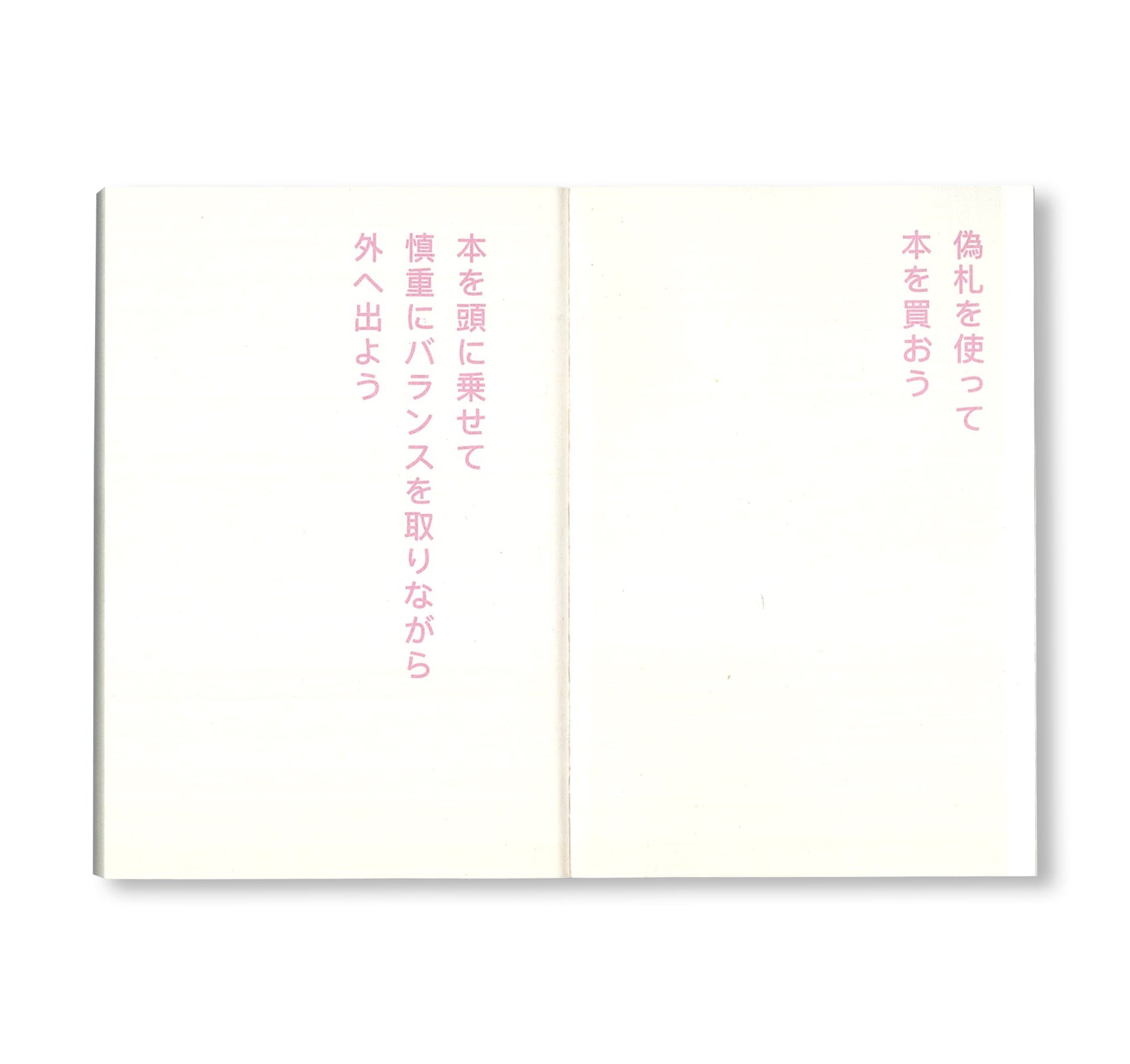 書店で万引きをする方法 by David Horvitz