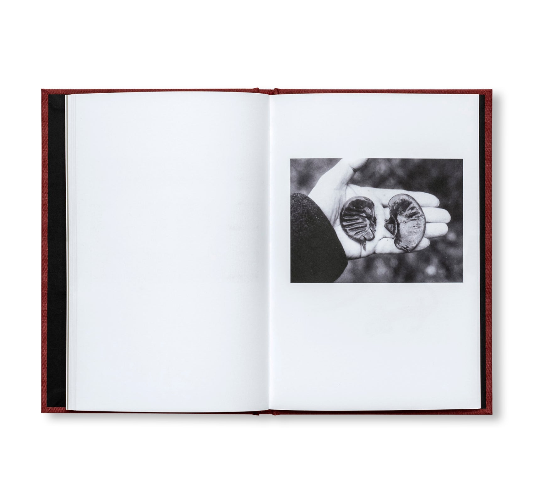 MUT 2 | TWO POEMS, SEVEN PAIRS by Jochen Lempert