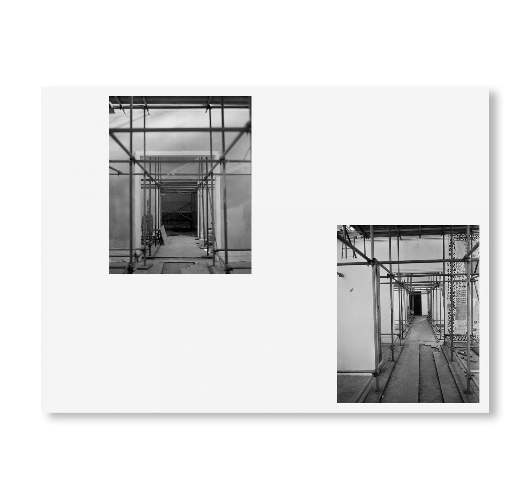 NYMPH by Tereza Červeňová