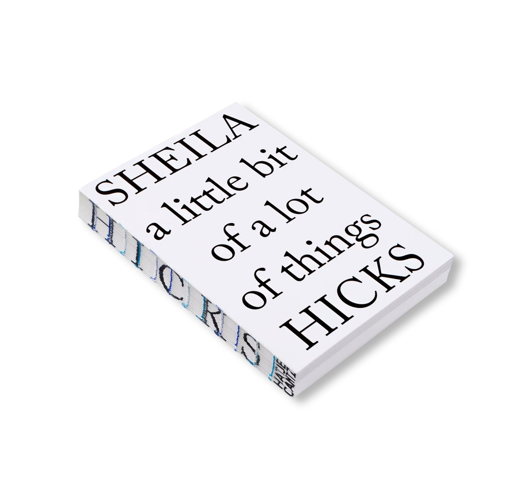 A LITTLE BIT OF A LOT OF THINGS by Sheila Hicks
