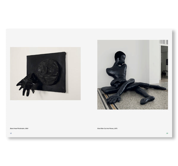 I AM THE LAST WOMAN OBJECT by Nicola L. – twelvebooks