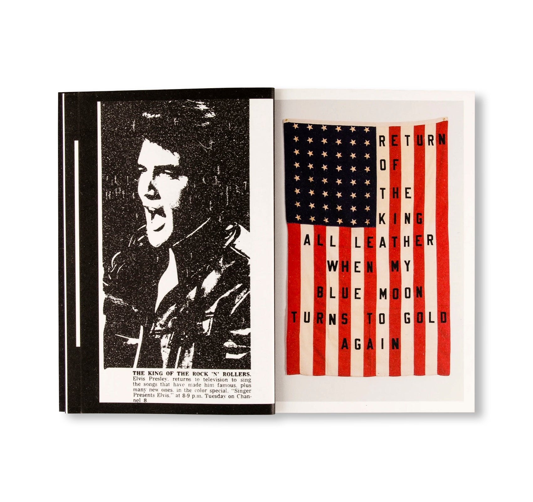 29 FLAGS by Cali Thornhill DeWitt