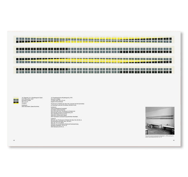 ISA GENZKEN - CATALOGUE RAISONNÉ 1961-1996 by Isa Genzken