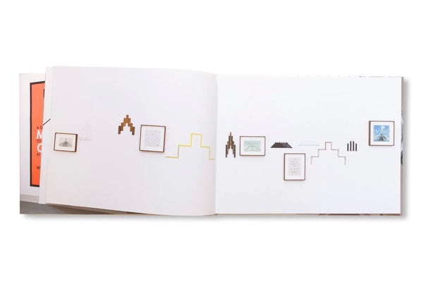 WALKING TRANSFORMATION by Hamish Fulton – twelvebooks