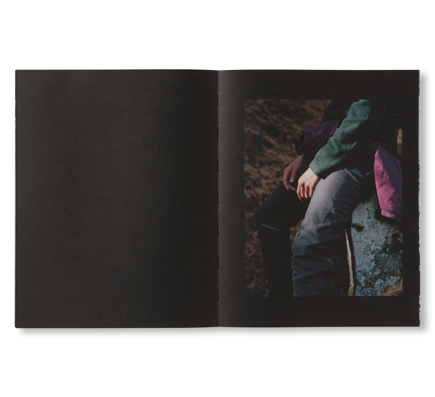 LA RONDE DES HIRONDELLES by Florence Cuschieri