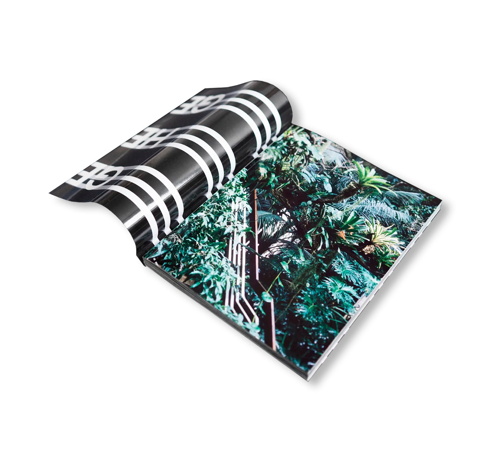 GEHEGE by Sara Arzu Hardegger, Vanja Ivana Jelić