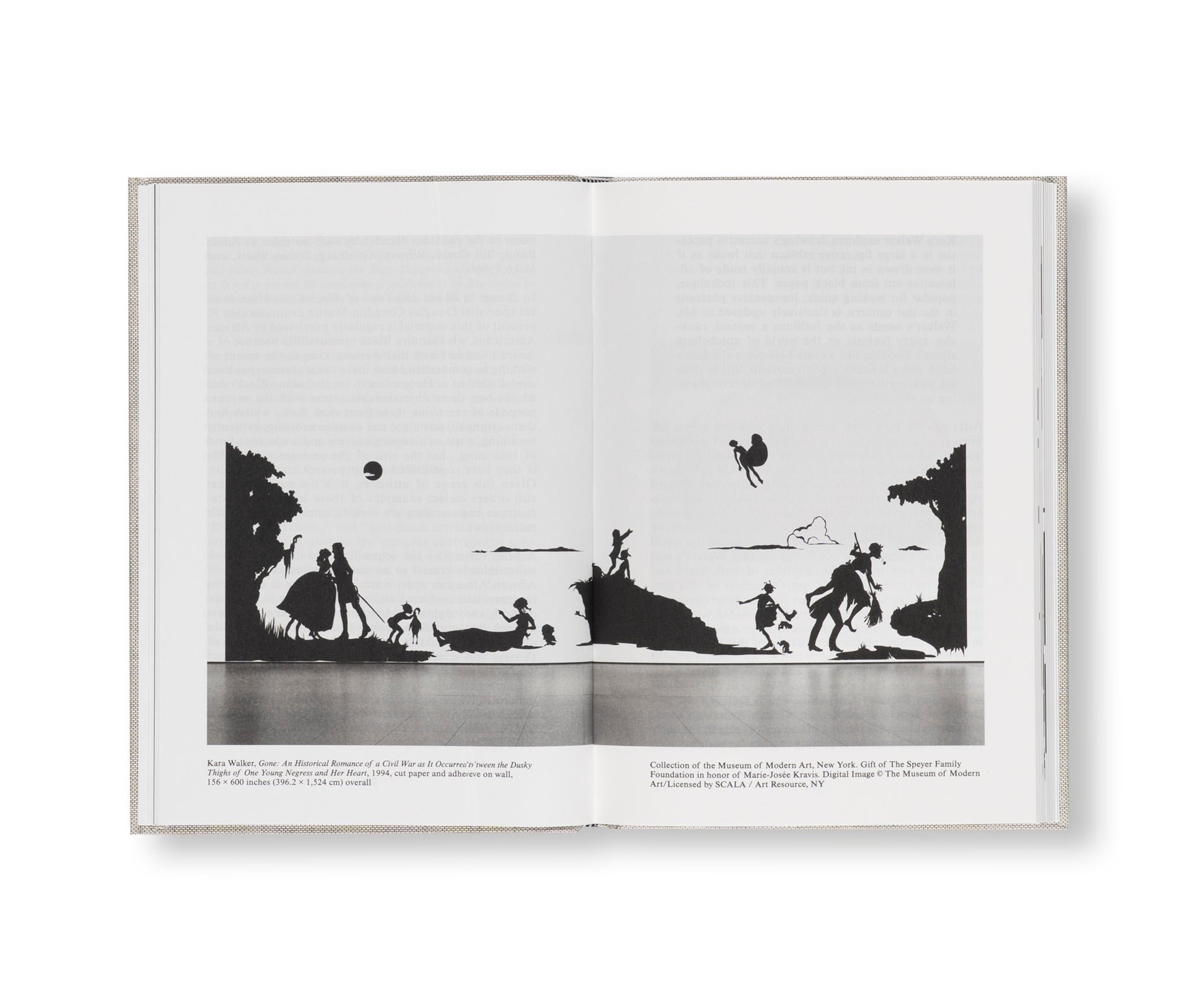 WHITE SHADOWS IN BLACKFACE by Kara Walker, Robert Hobbs