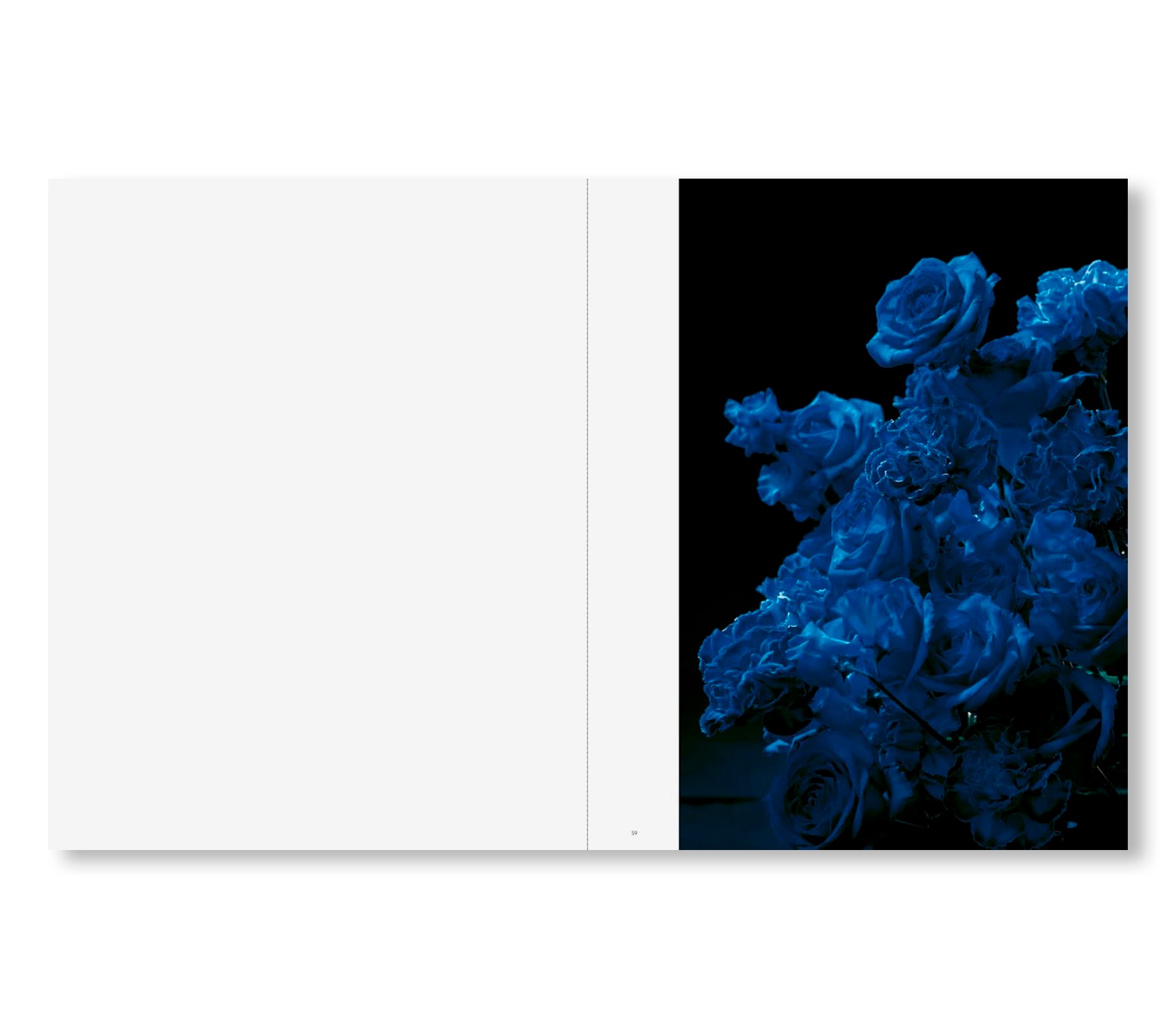 SAKIKO NOMURA: TENDER IS THE NIGHT by Sakiko Nomura