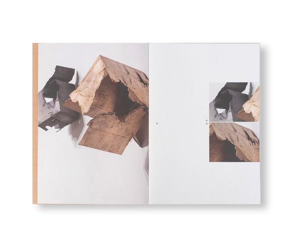 PARROT ARCHITECTURE by Joseph Havel – twelvebooks