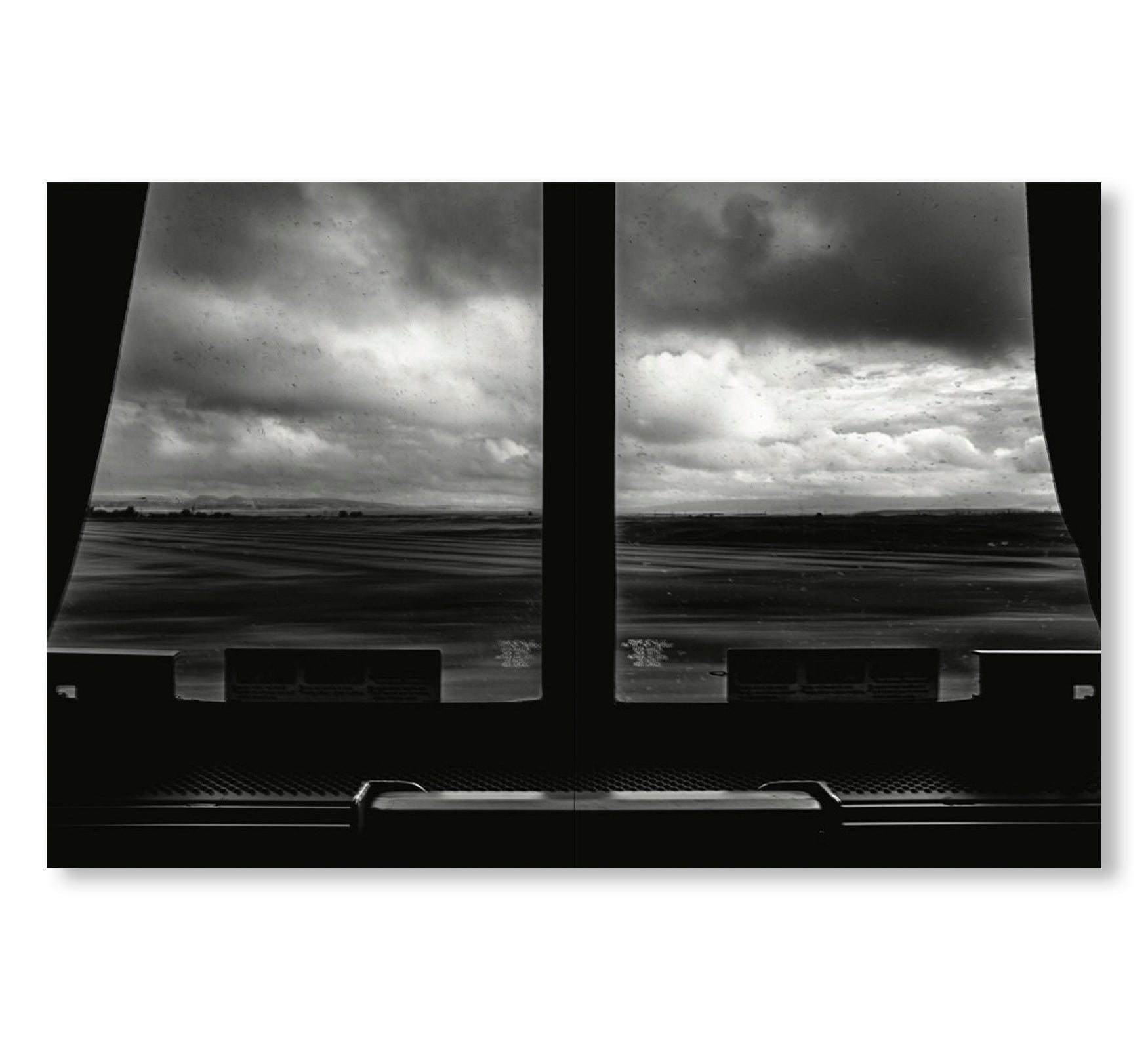 TIN LIZARDS by Robert LeBlanc