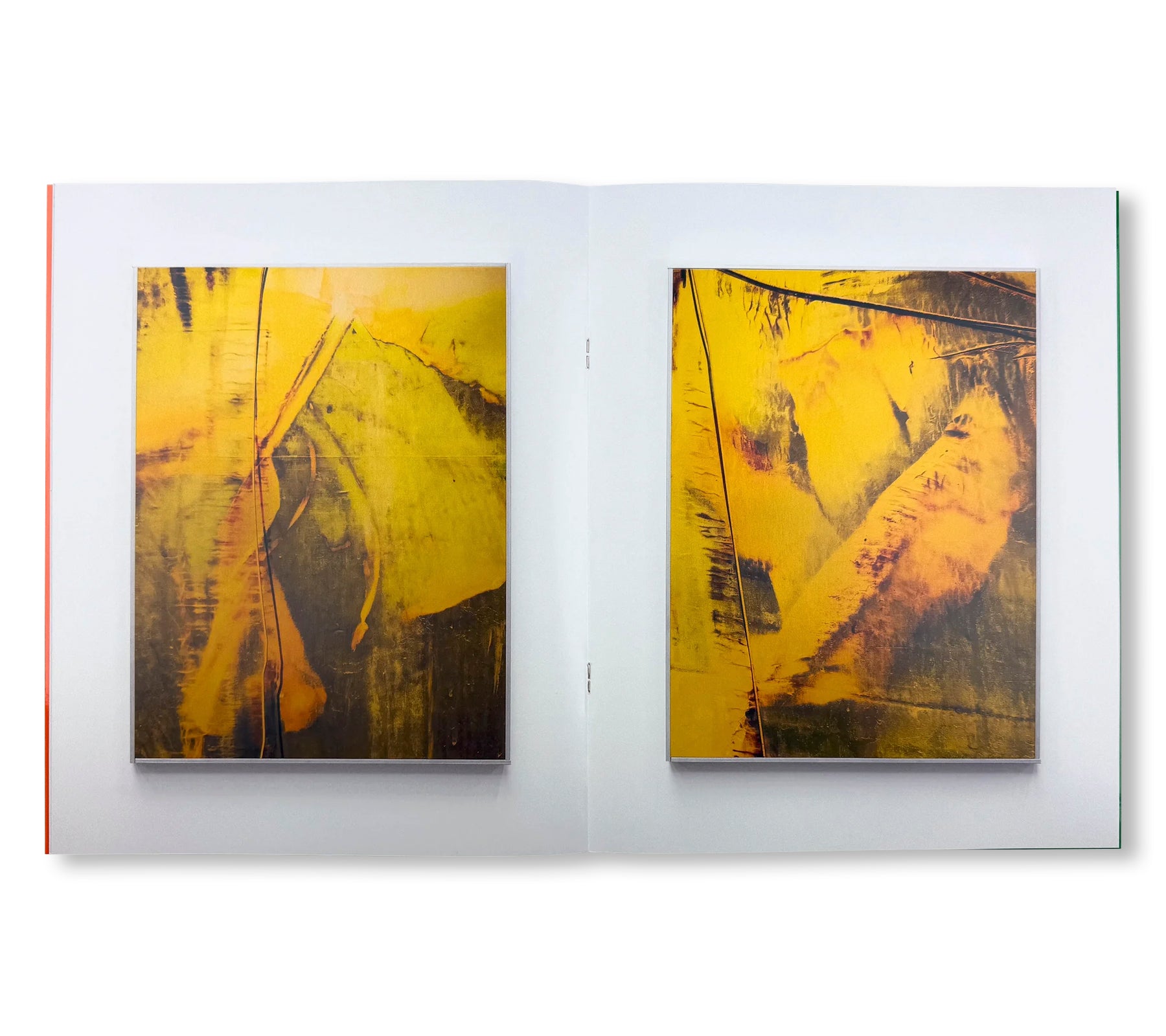 MUSA by Sybren Vanoverberghe