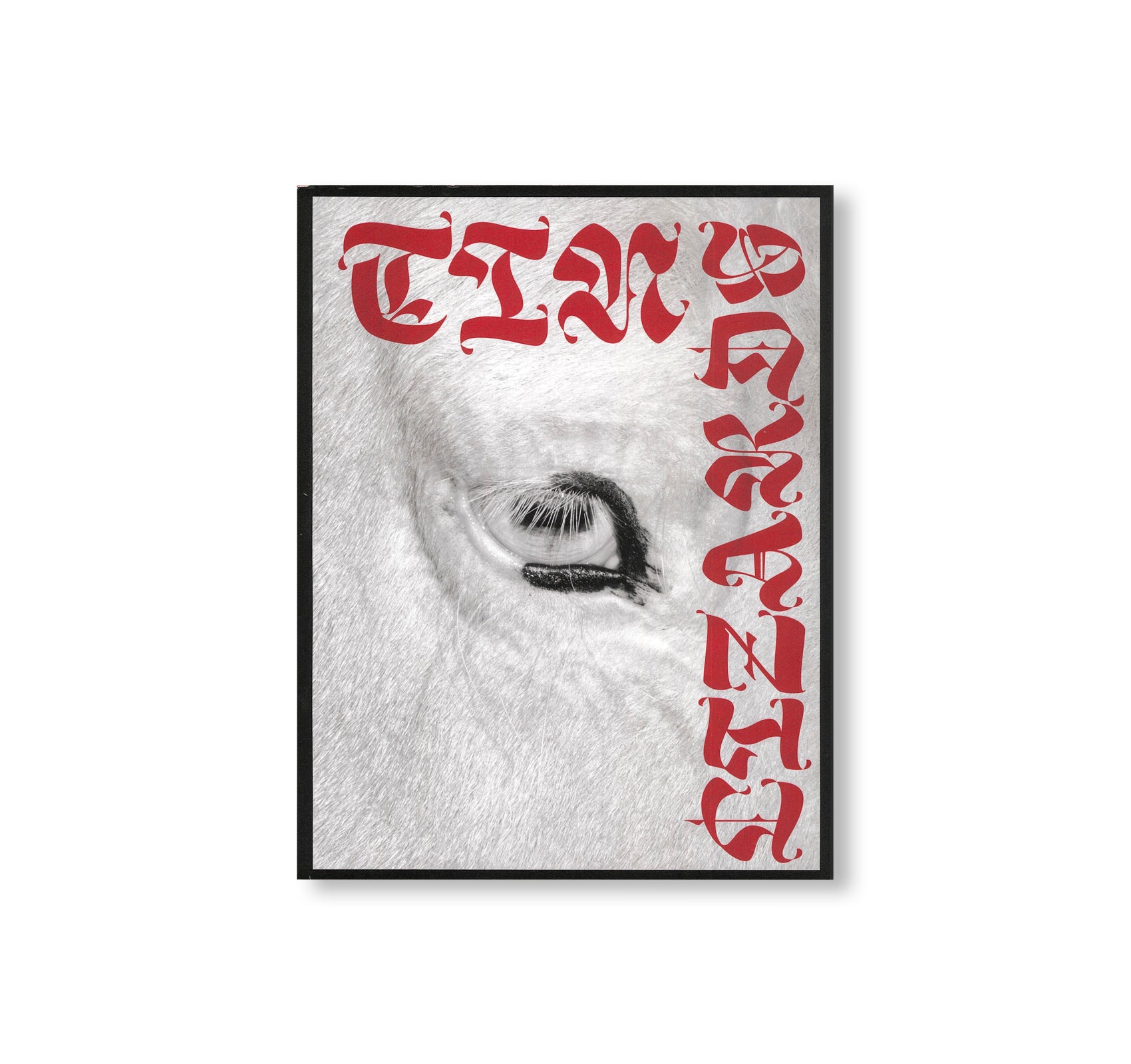 TIN LIZARDS by Robert LeBlanc