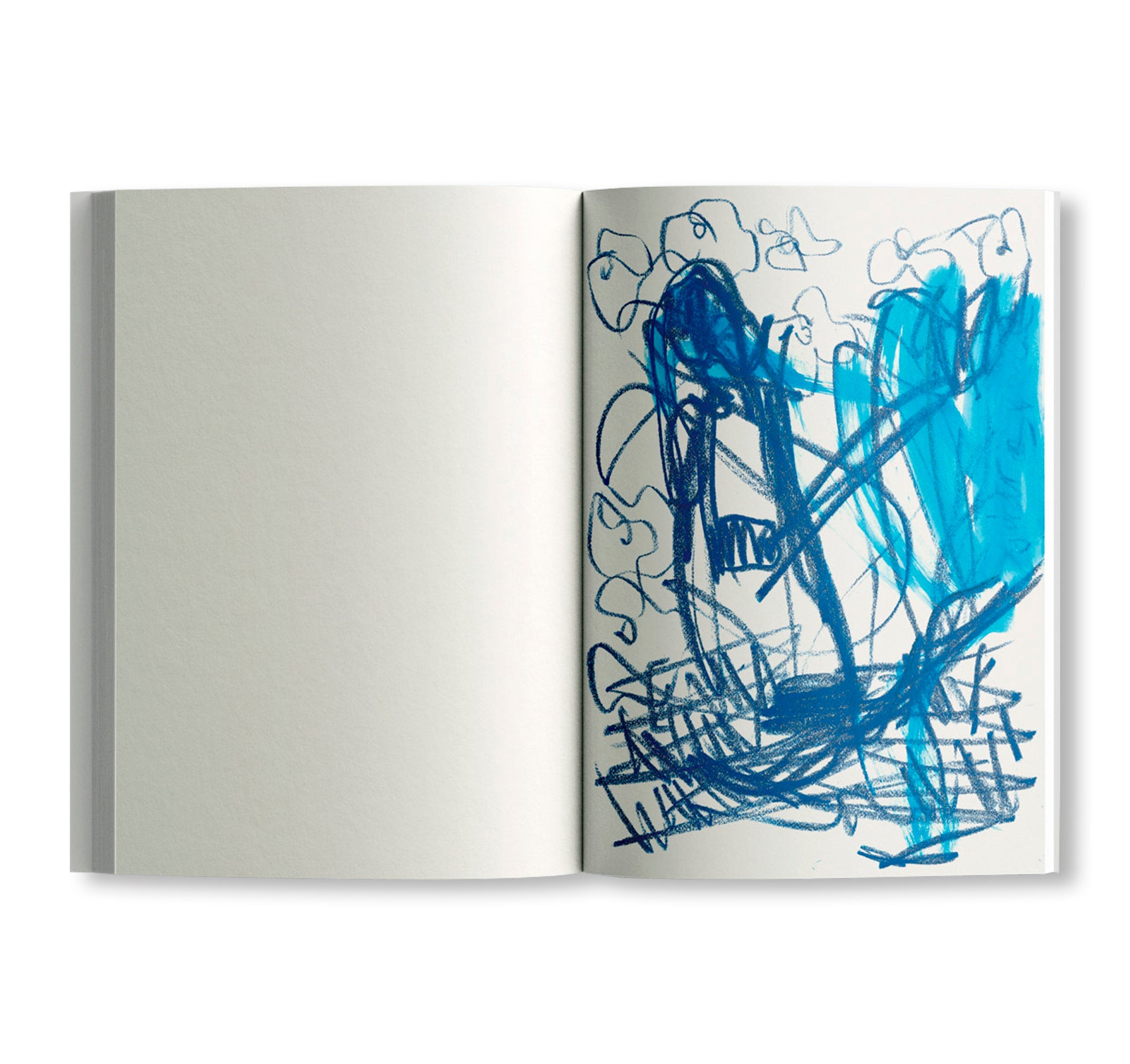 NOT QUITE GOOD ENOUGH TO BE ON TV HARMONIES by Joanne Robertson