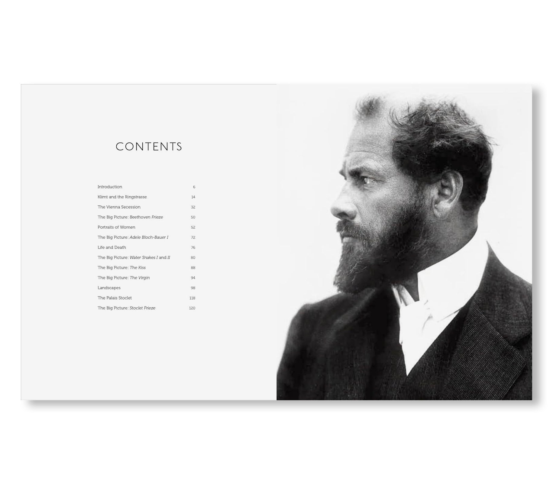 KLIMT - THE BIGGER PICTURE by Philippe Thiébaut