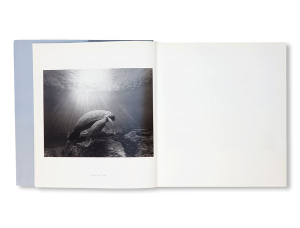 DIORAMAS by Hiroshi Sugimoto [FRENCH EDITION] – twelvebooks
