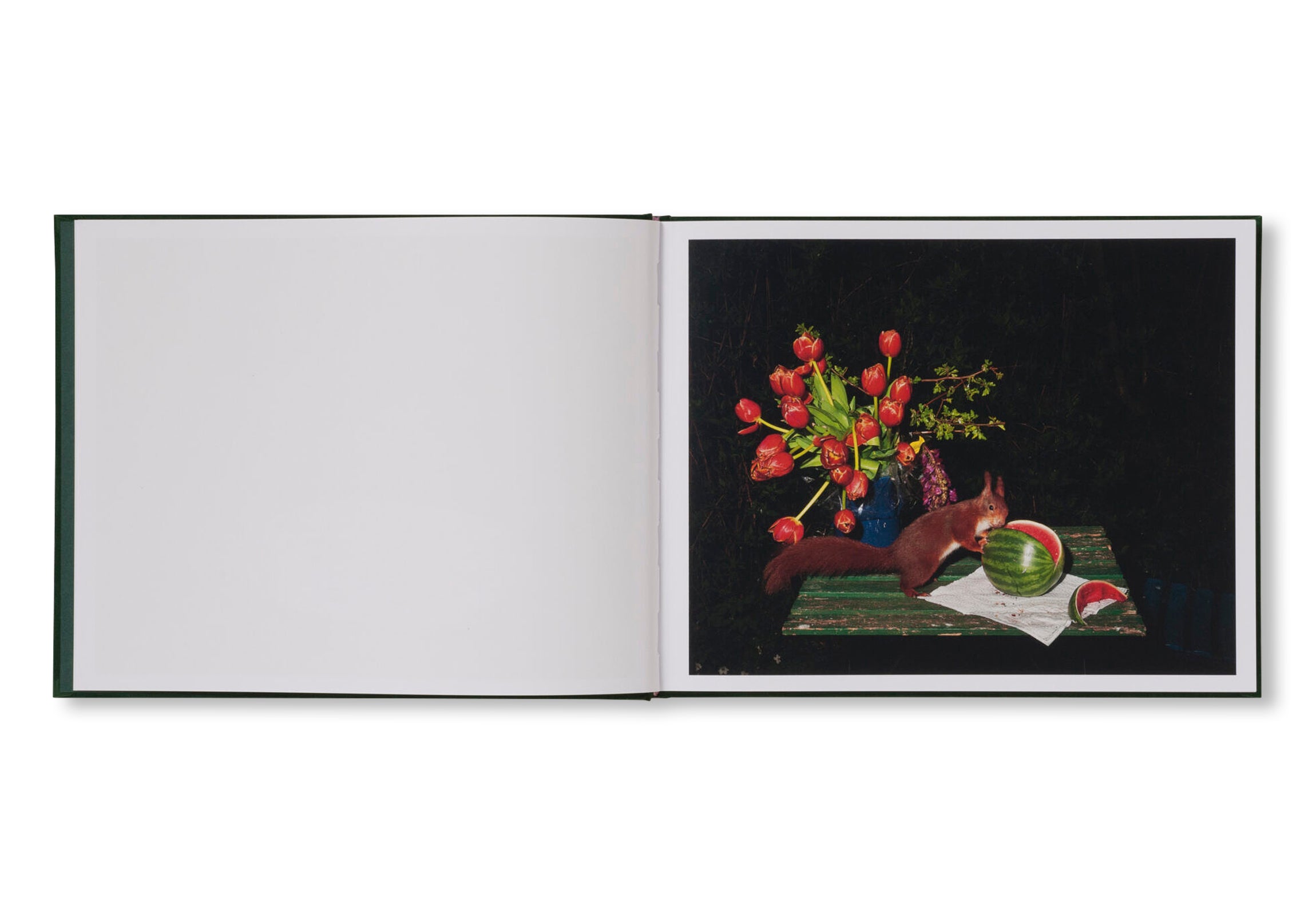 PLATES I-XXXI by Lia Darjes