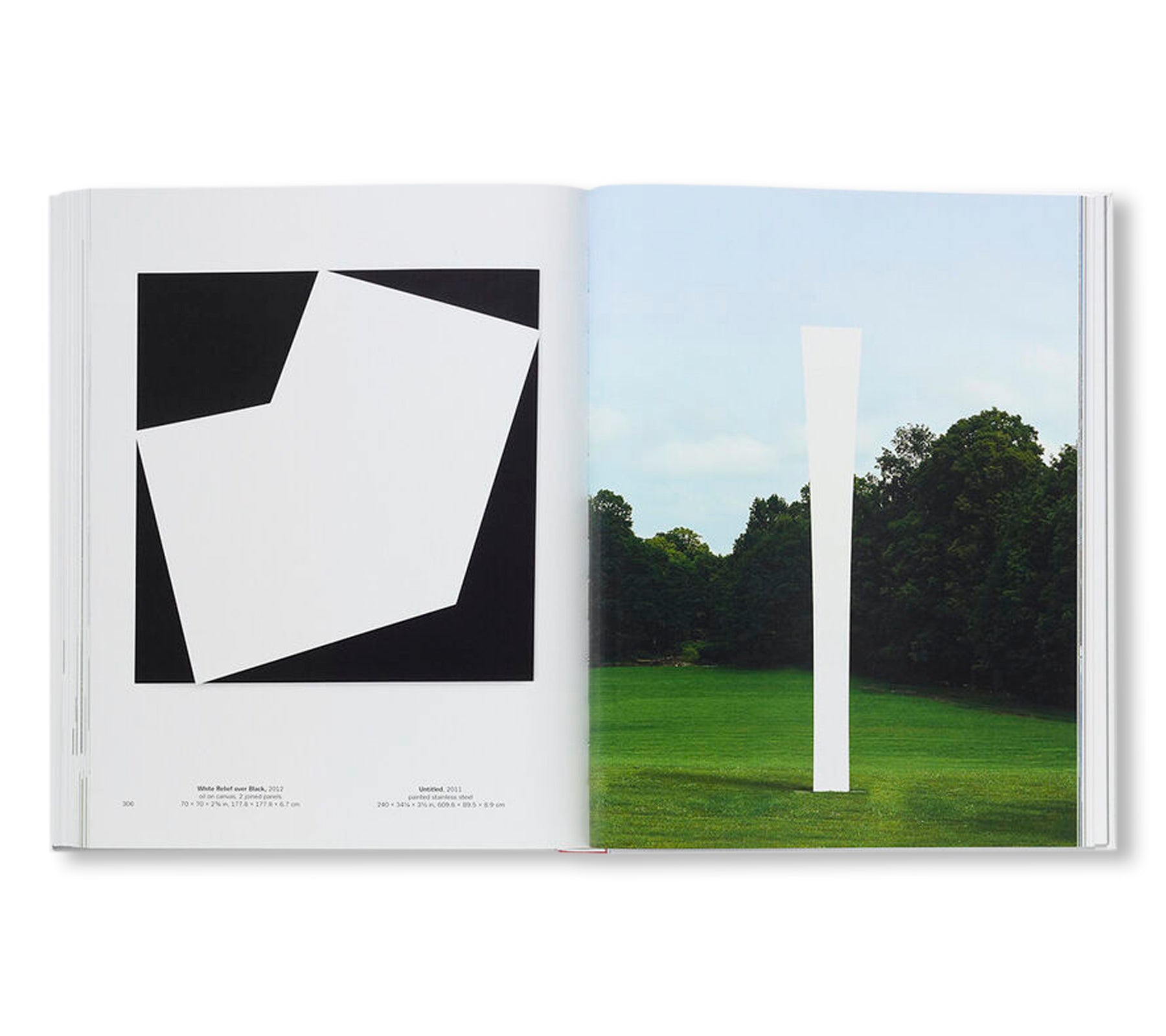 ELLSWORTH KELLY (2015) by Ellsworth Kelly