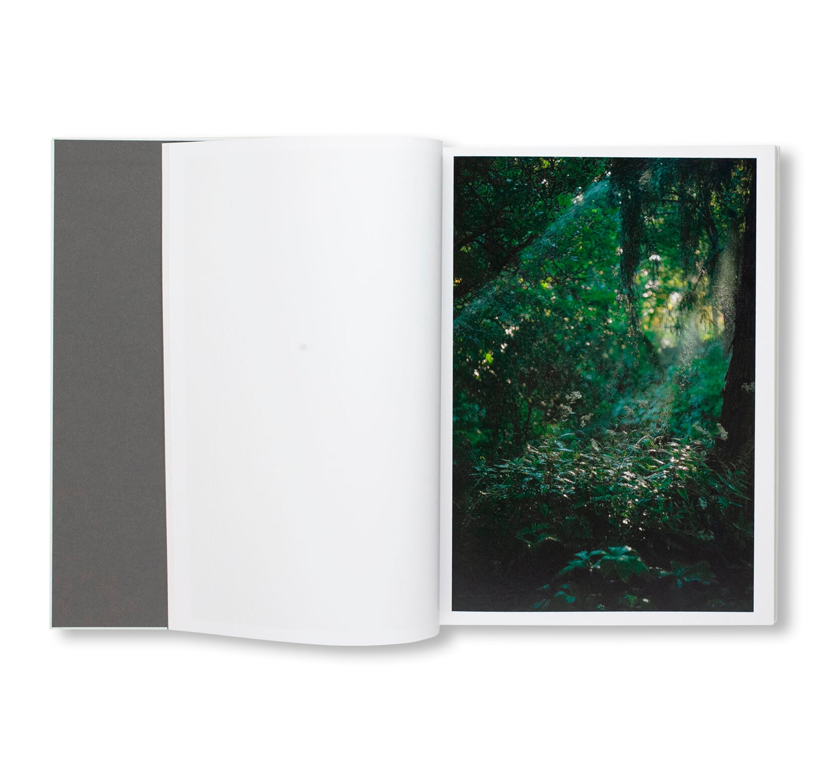 CLOUD PHYSICS by Terri Weifenbach