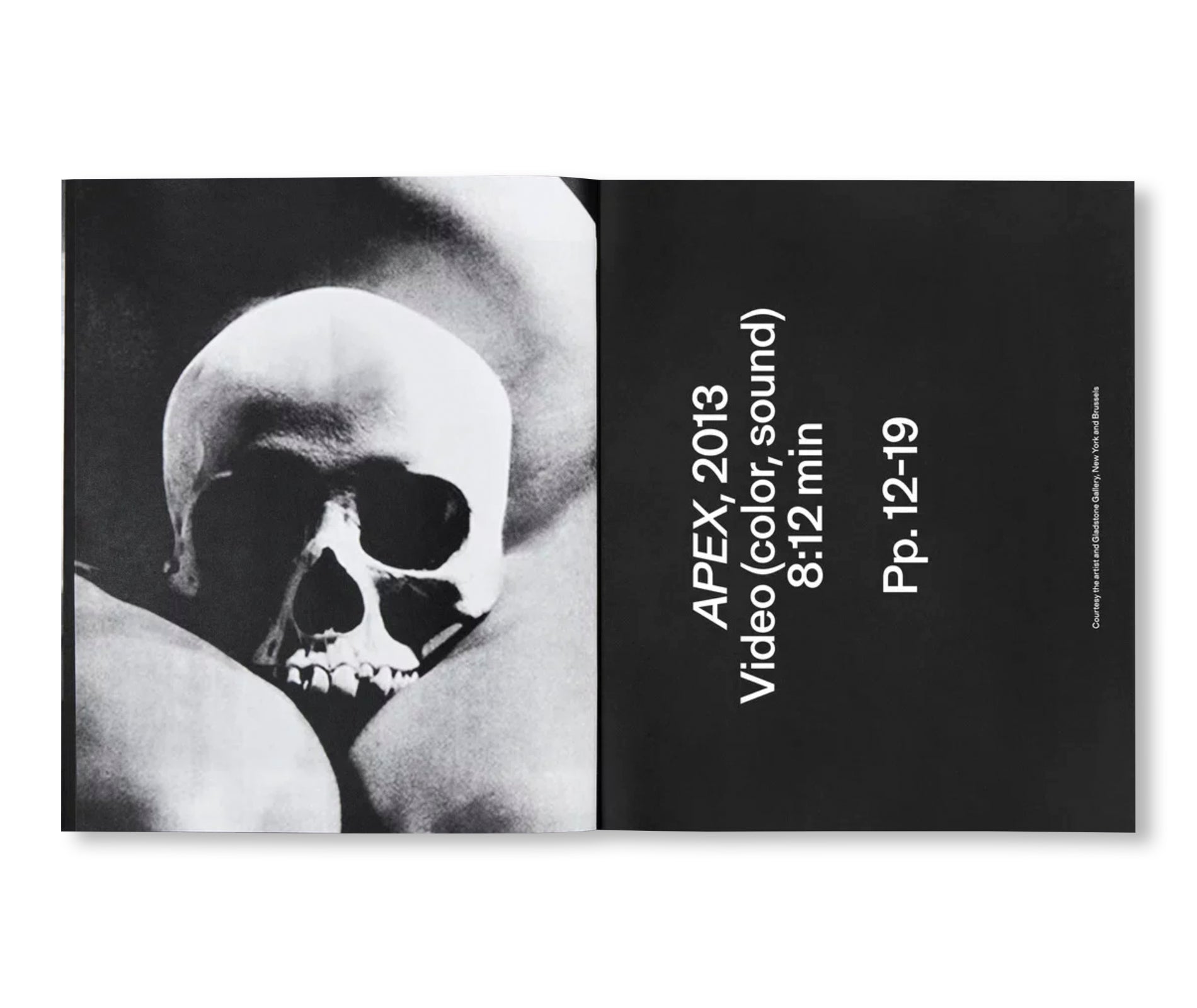 MAGNUMB by Arthur Jafa