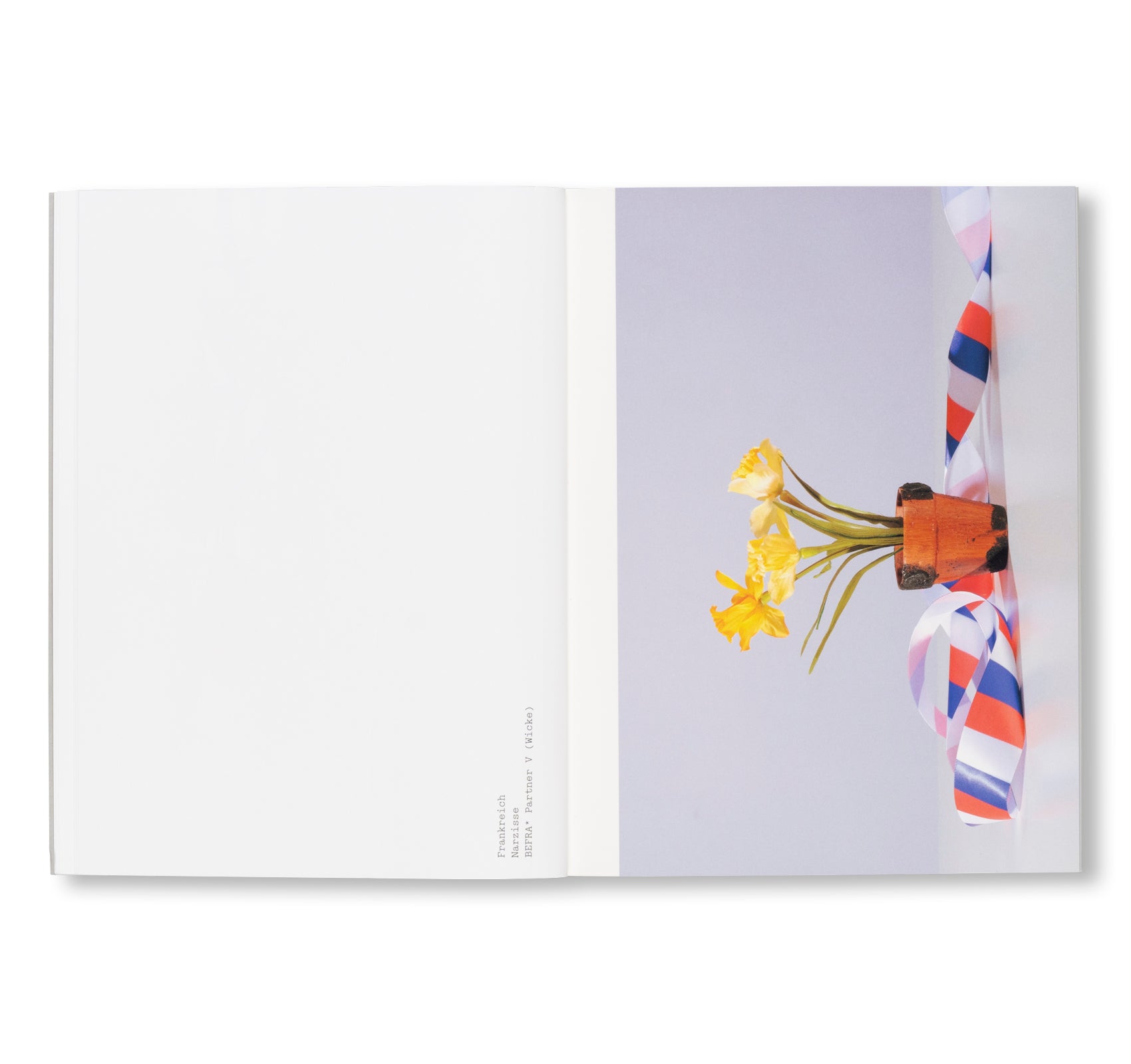 FLEUROP by Sebastian Utzni