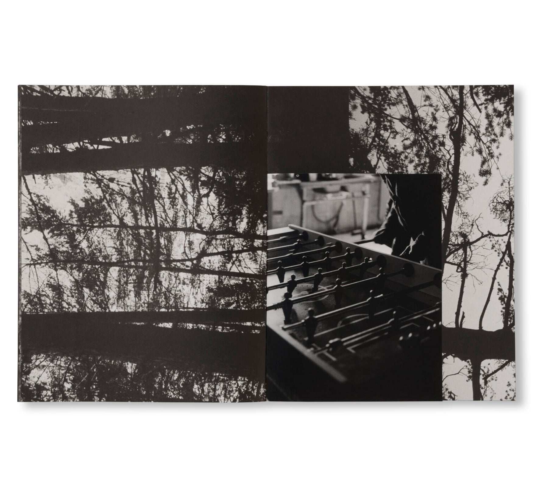 LA RONDE DES HIRONDELLES by Florence Cuschieri