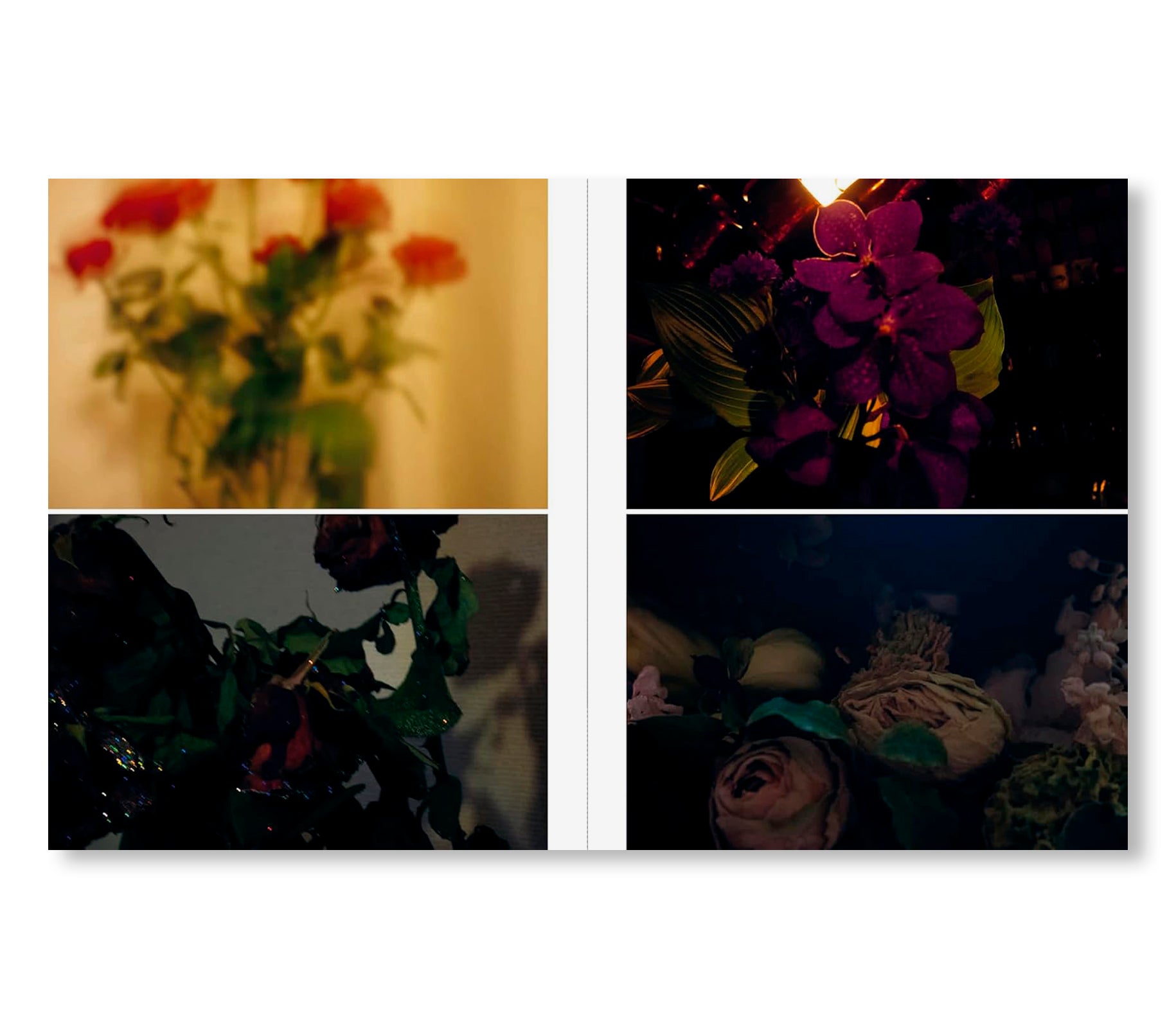 SAKIKO NOMURA: TENDER IS THE NIGHT by Sakiko Nomura