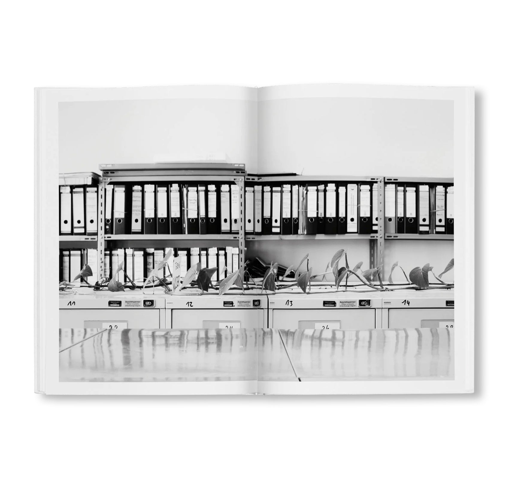 BÜROPFLANZE by Saskia Groneberg