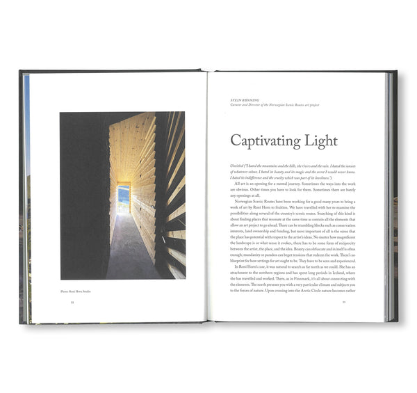 UNTITLED by Roni Horn – twelvebooks
