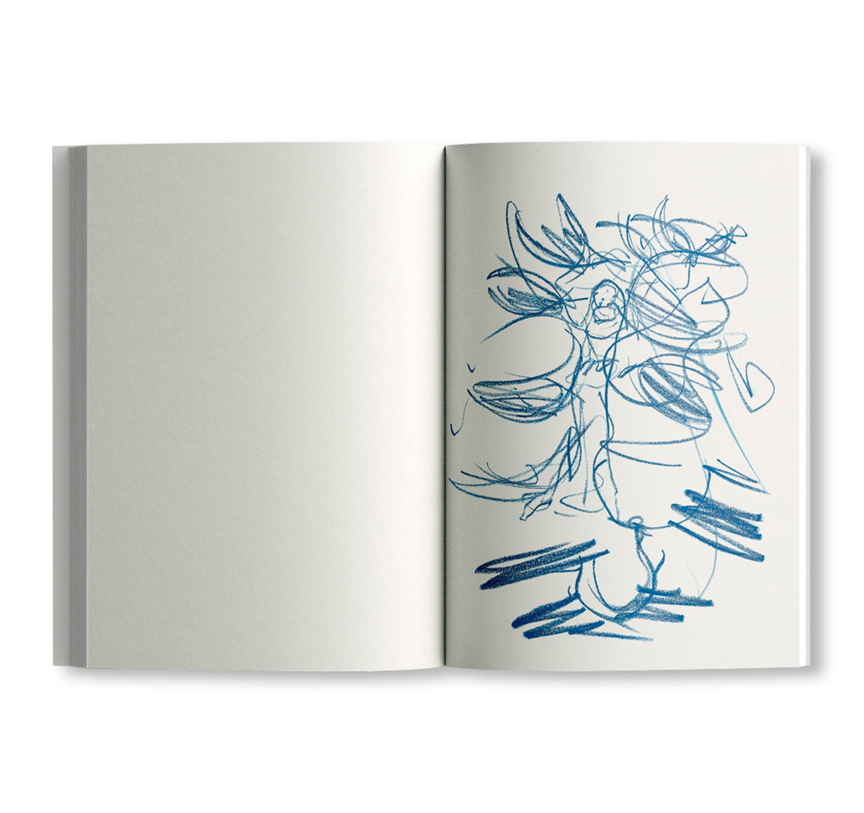 NOT QUITE GOOD ENOUGH TO BE ON TV HARMONIES by Joanne Robertson