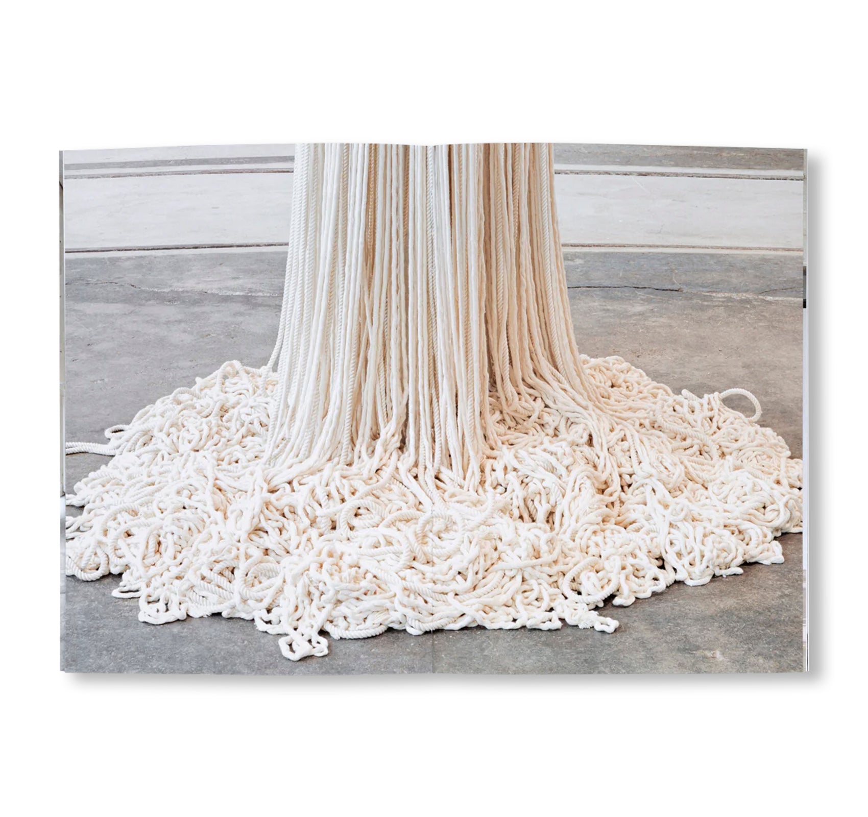 A LITTLE BIT OF A LOT OF THINGS by Sheila Hicks