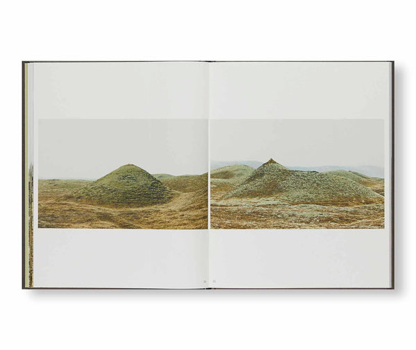 Roni Horn Ísland Mother Wonder ロニ ホーン roni-horn-'mother-wonder-14'-(