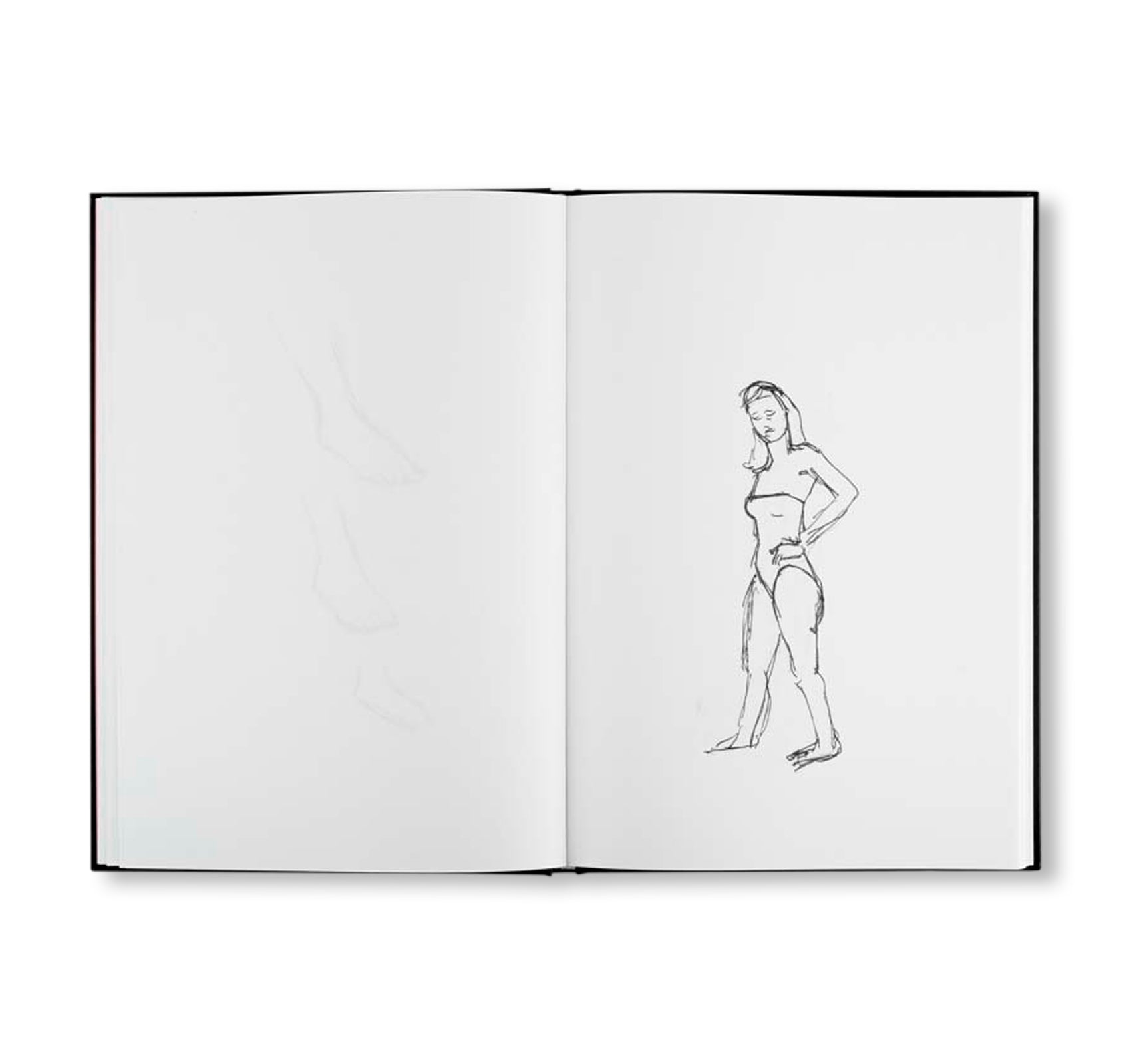 KATZ by Alex Katz, Vincent Katz