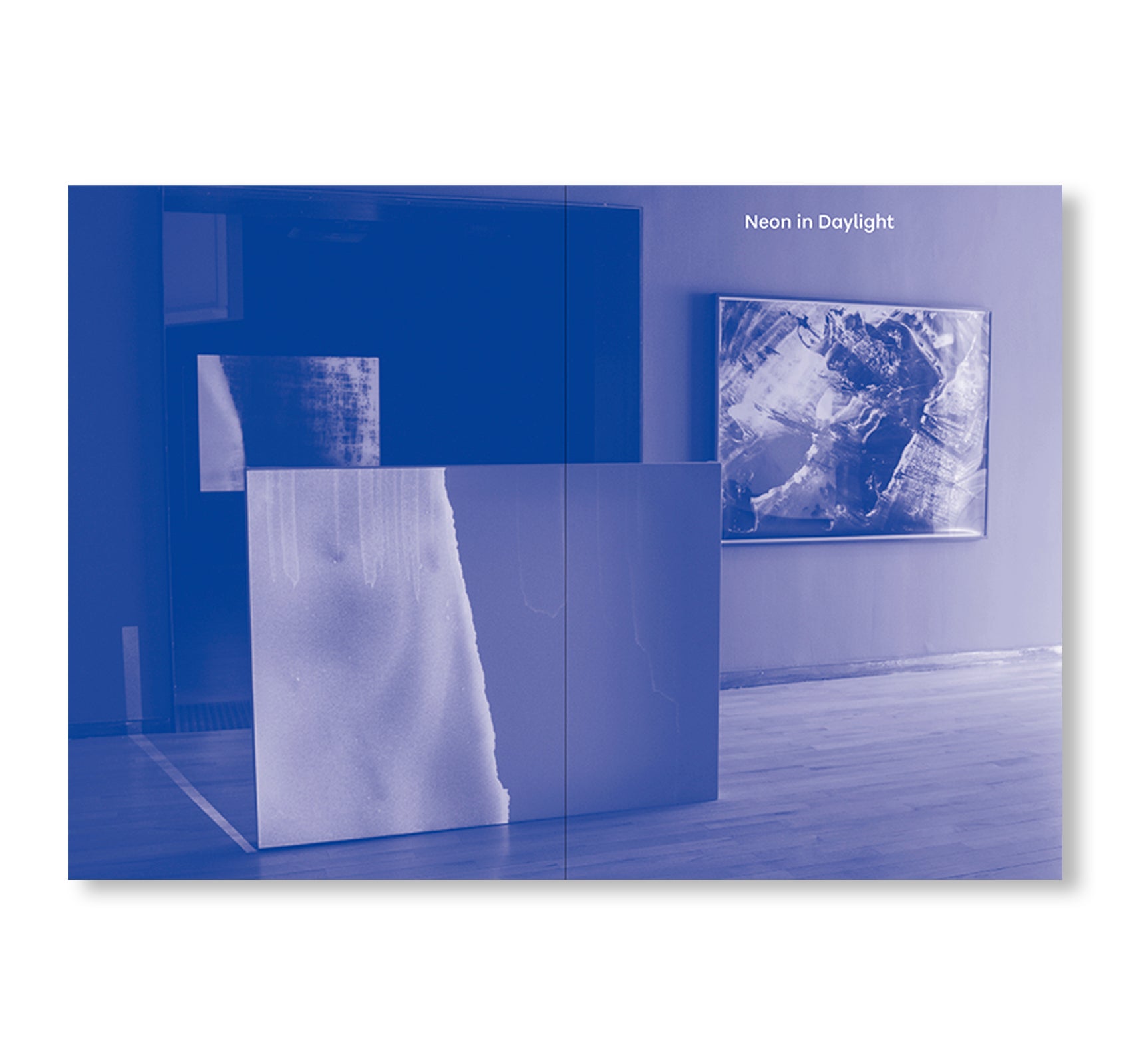 POEMS OF OUR CLIMATE by Matt Saunders